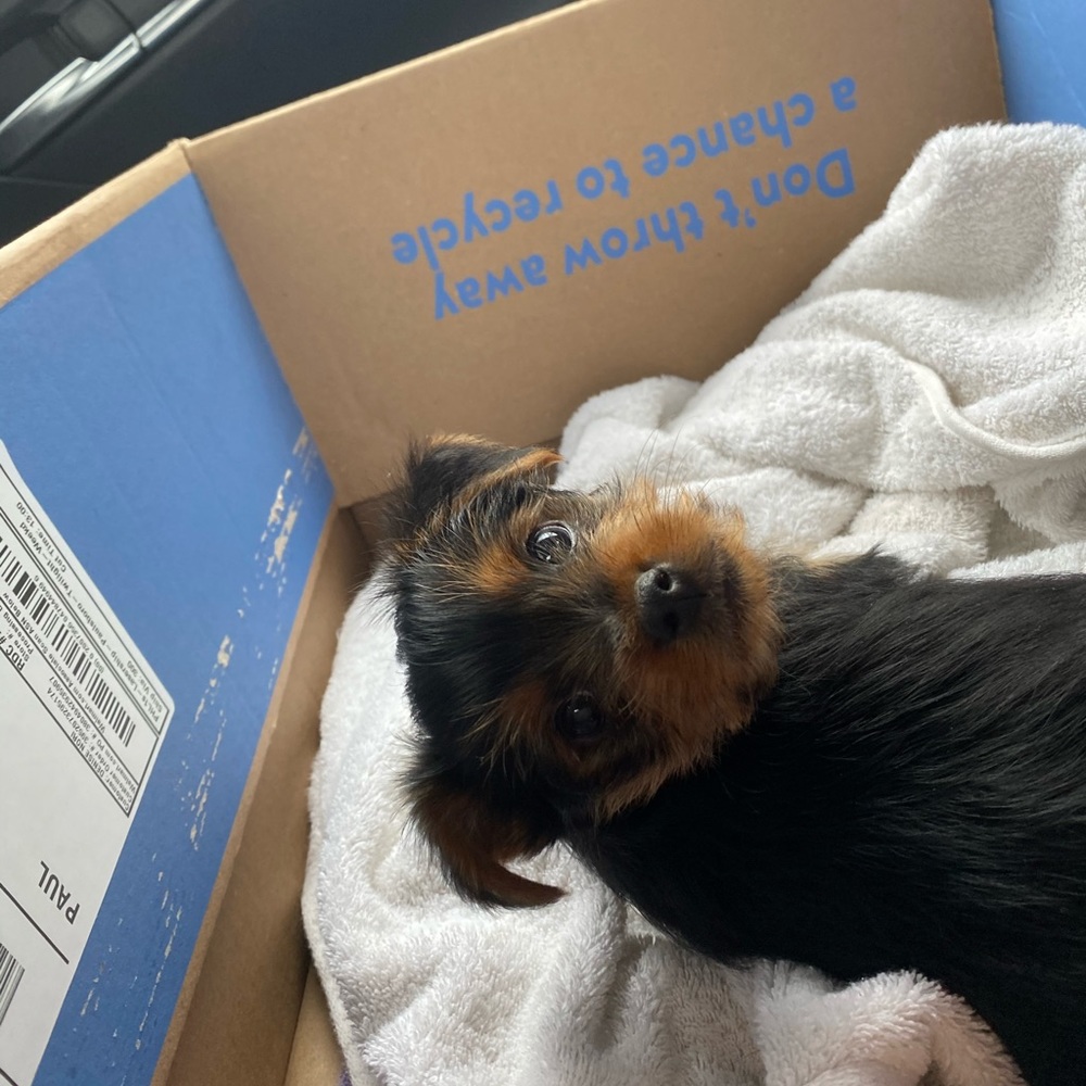 Meet your Posher, Nicolas